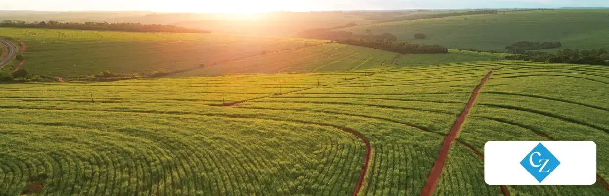 How ClearOpx Revolutionized Invoice Management for a Sugar Trading Giant
