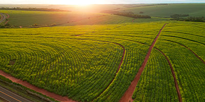 How ClearOpx Revolutionized Invoice Management for a Sugar Trading Giant